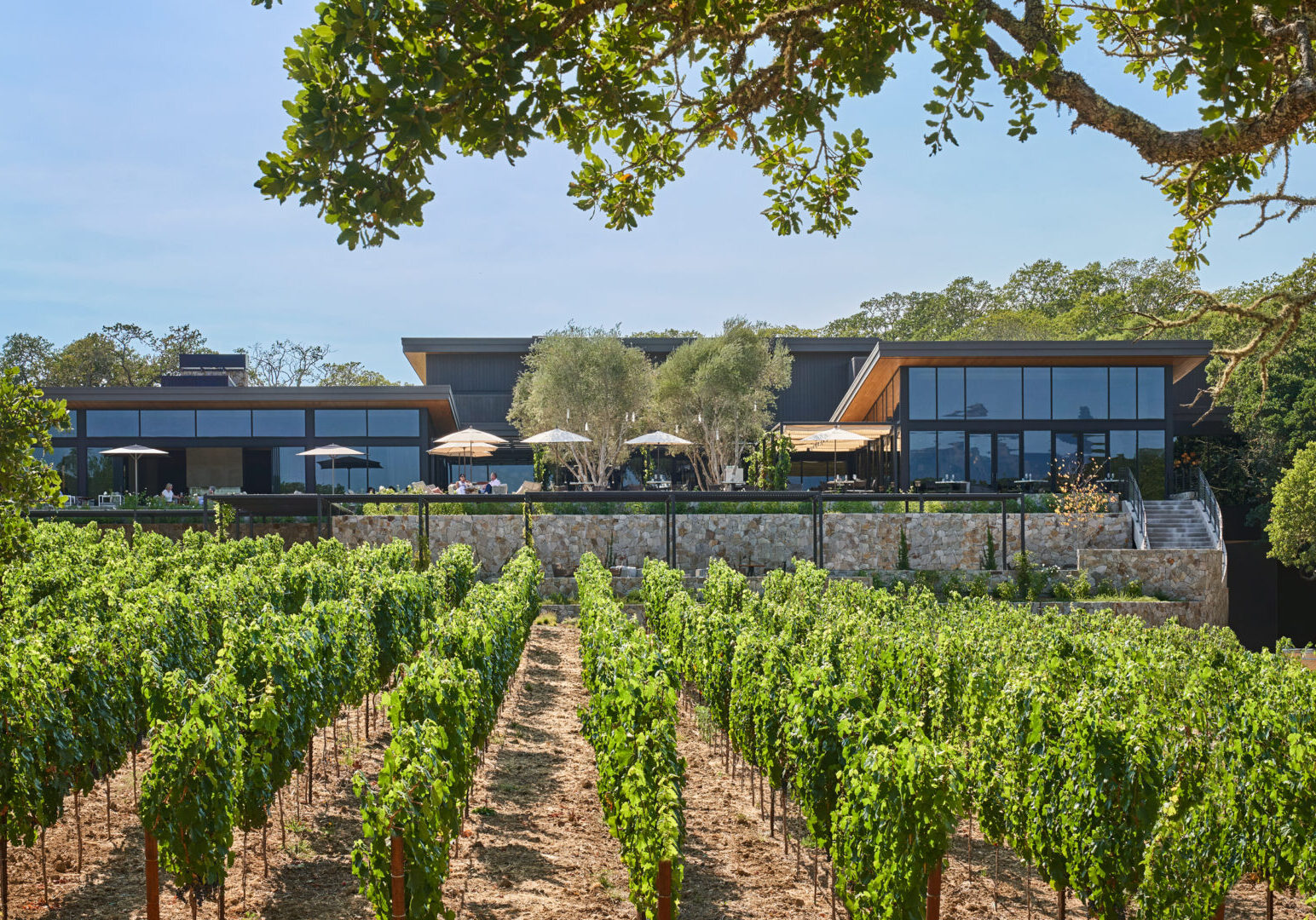 69c1b16a341bb_Montage Healdsburg